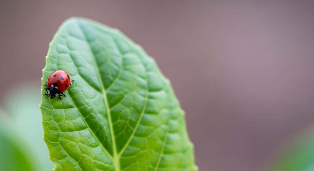 Pest Management in Cold Weather